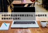 小程序开发过程中需要注意什么（小程序开发需要用到什么技术）