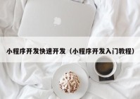 小程序开发快速开发（小程序开发入门教程）