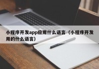 小程序开发app应用什么语言（小程序开发用的什么语言）