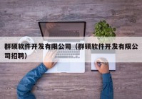 群硕软件开发有限公司（群硕软件开发有限公司招聘）