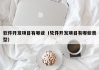 软件开发项目有哪些（软件开发项目有哪些类型）