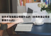 软件开发有限公司做什么的（软件开发公司主要做什么的）