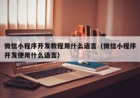 微信小程序开发教程用什么语言（微信小程序开发使用什么语言）