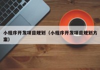 小程序开发项目规划（小程序开发项目规划方案）