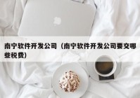 南宁软件开发公司（南宁软件开发公司要交哪些税费）