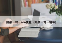 阳泉一对一seo优化（阳泉一对一辅导）