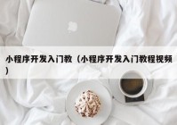 小程序开发入门教（小程序开发入门教程视频）